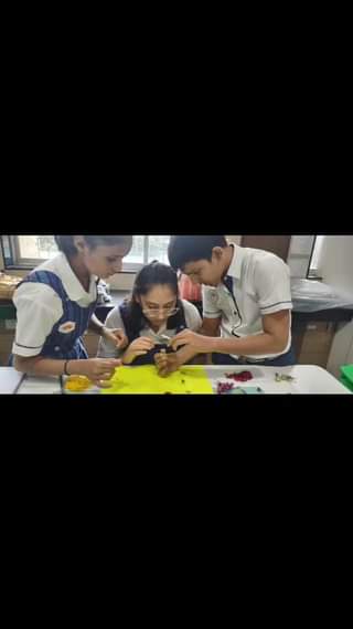 Grade 10 class of IGCSE learners look like this.