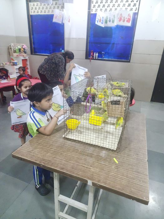 Our Bird friends visited our Preschool Classes today – To connect with nature , develop observation skills , silent communication , Learning new words.